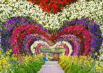 باغ گل میراکل دبی - تصویر 3
